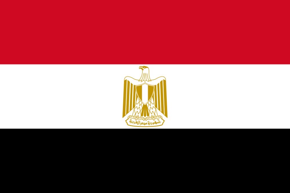 IMEI From Egypt Networks Worked 100%